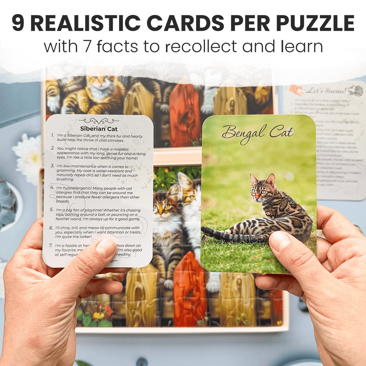 Alzheimers Jigsaw Puzzle Games for Adults Gems of Nature