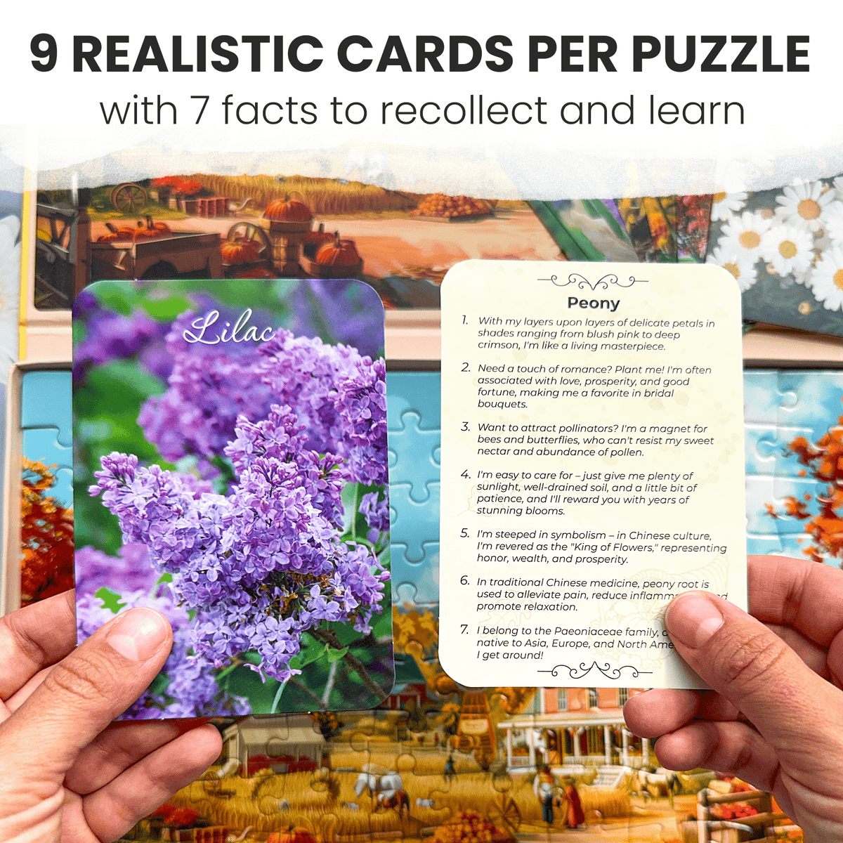 100 Pieces Alzheimers Jigsaw Puzzle Games for Adults