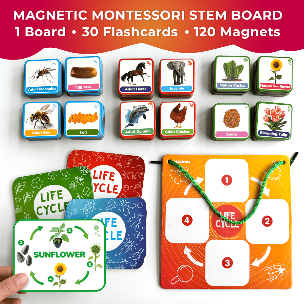 120 Magnetic Toddler Classroom Must Haves for Preschool