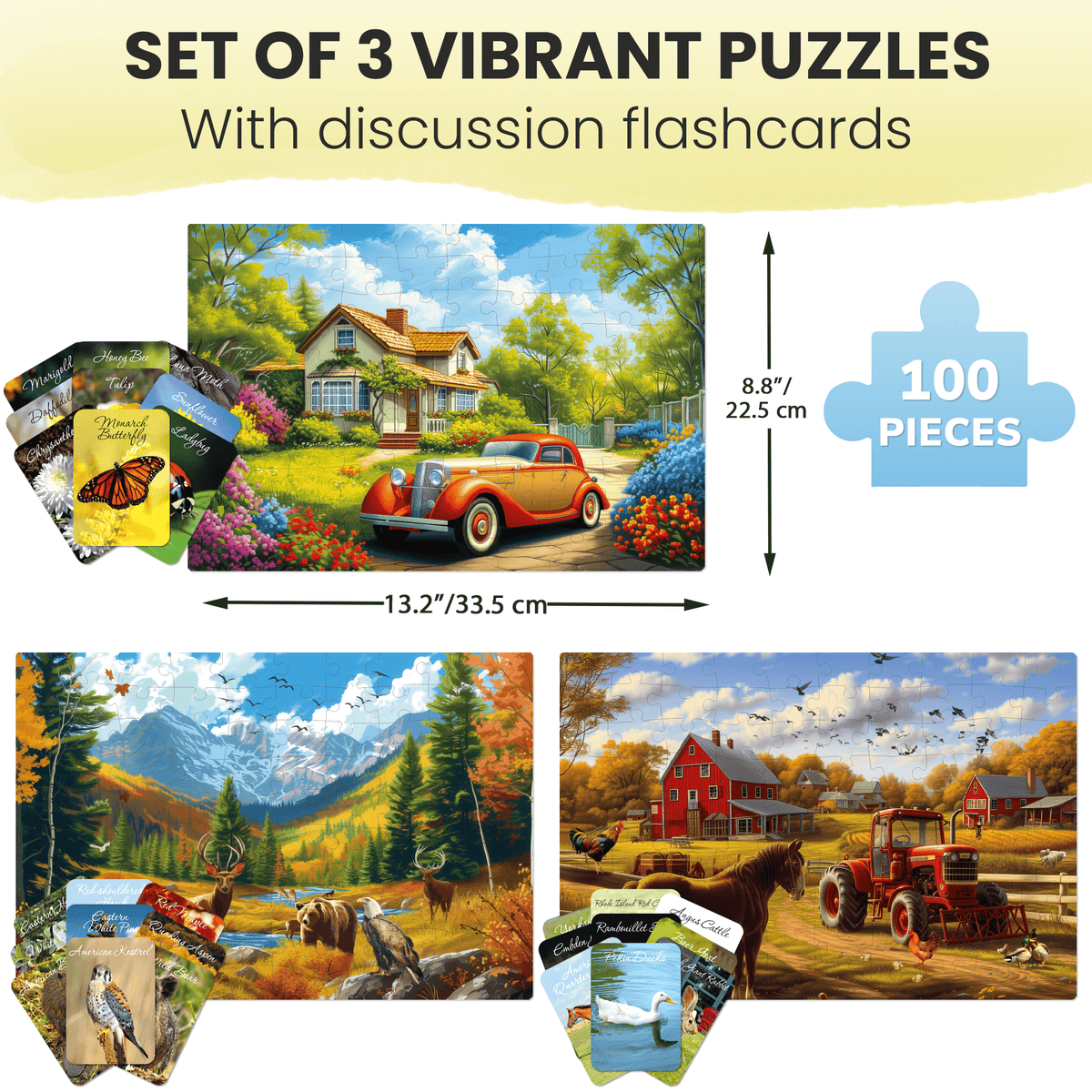 100 Pieces Dementia Puzzles for Elderly Picturesque Views