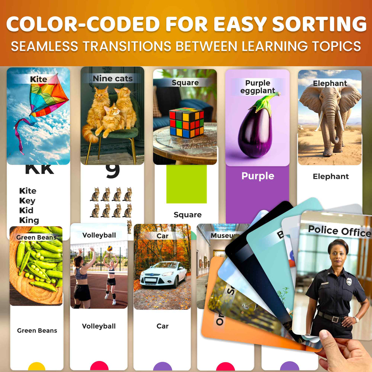 260 Flash Cards with Realistic Images for Kids